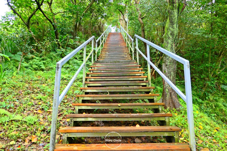福州山公園/富陽自然生態公園,假期小登高─在看得見都市風景的高處吶喊吧!