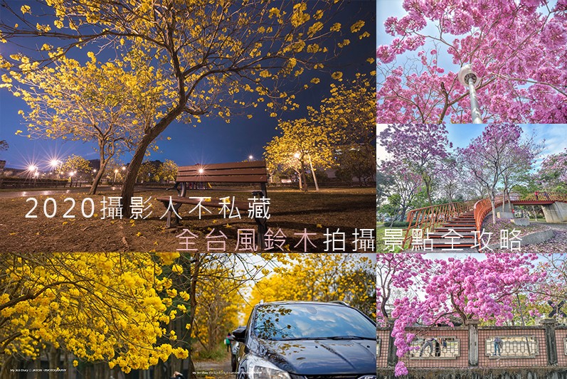 2020 攝影人不私藏 全台風鈴木 拍攝景點全攻略(01/17更新)