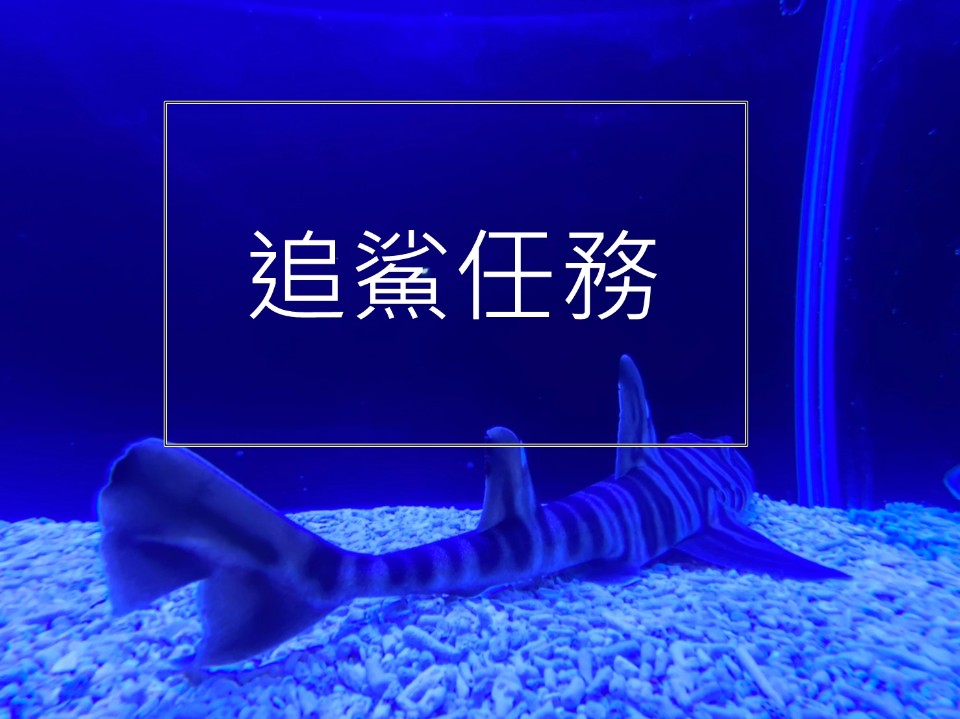 海科館AR實境特展登場 追鯊任務 海洋探險家互動體驗 親子探索 X 互動解謎 X 鯊魚展示