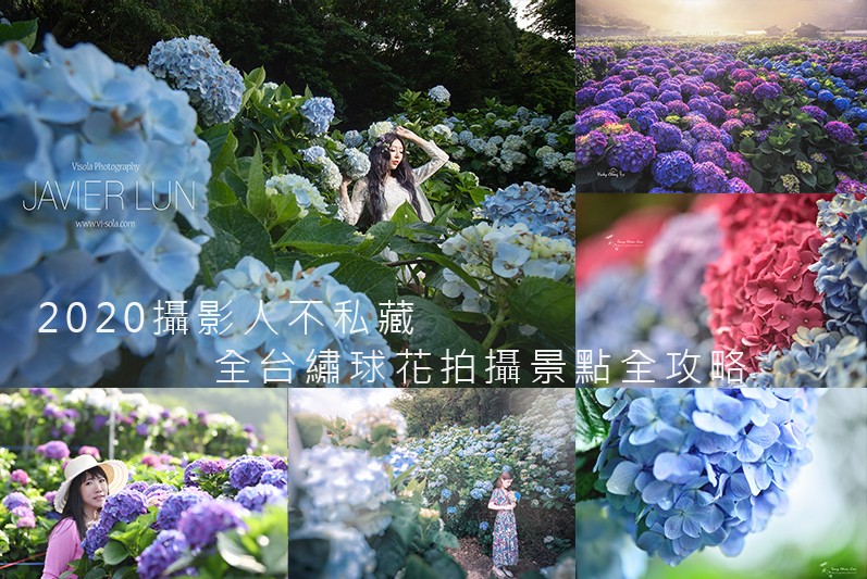 季節限定 2020攝影人不私藏 全台繡球花熱門景點全攻略(05/13更新))