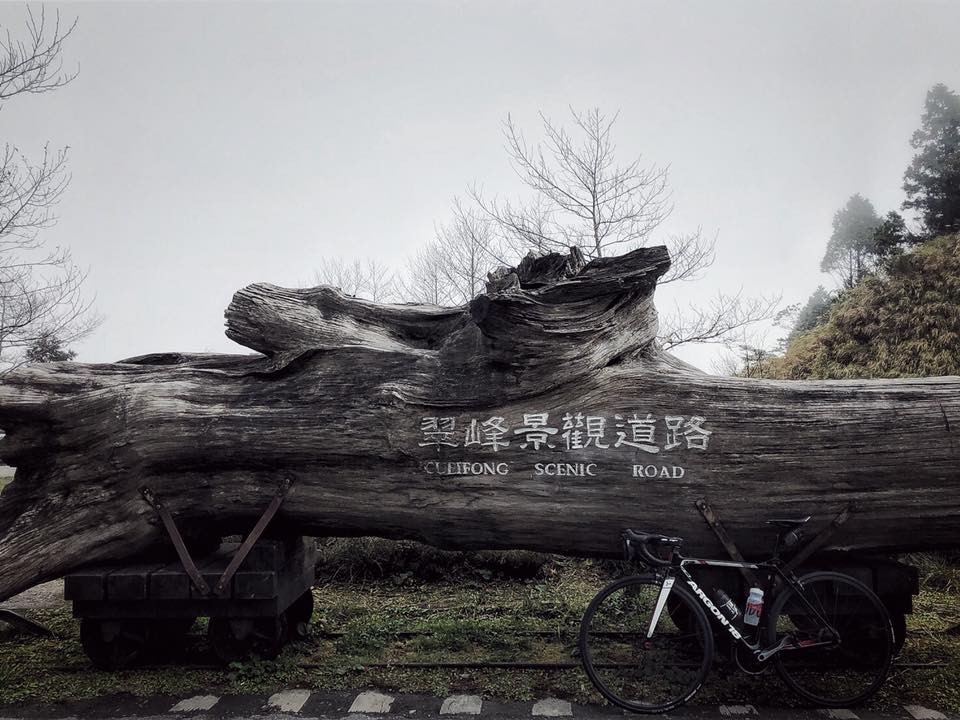 慶祝兒童節 太平山、東眼山、大雪山等十三處國家森林遊樂區兒童免費