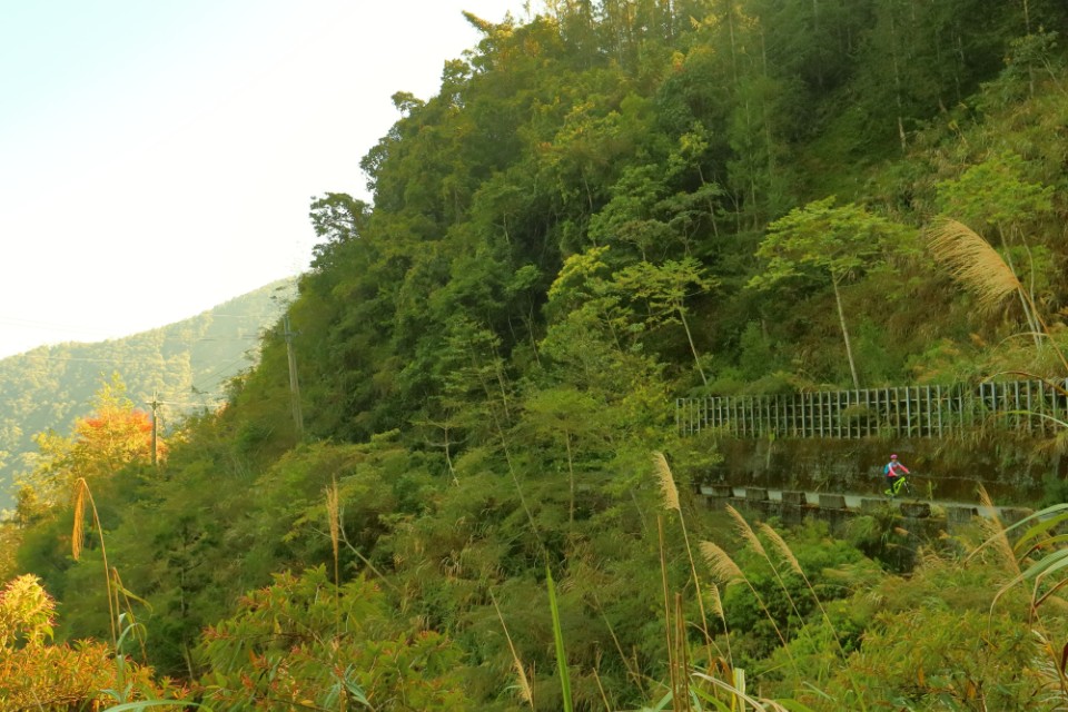【探山野】我的Gravel初體驗–前進卓社林道(前篇)