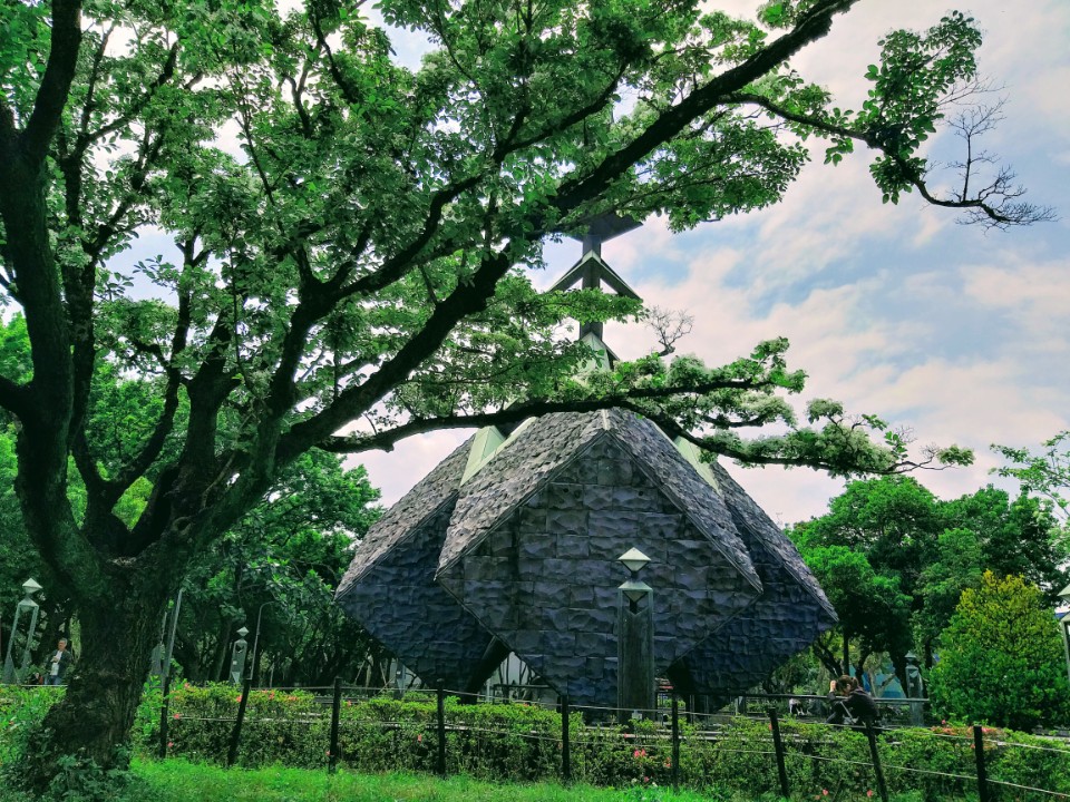 【旅遊】台北市「二二八和平公園」賞「2020流蘇花」,漫步公園品味浪漫「四月雪」