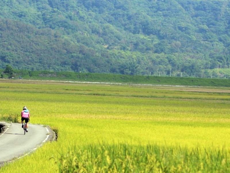 2019彰化不落 臺灣穀倉 鄉野騎跡