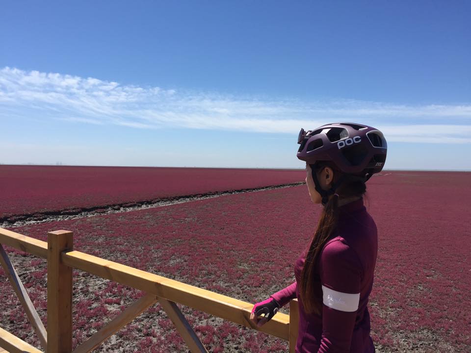 盘锦系列报导 Iris骑在盘锦欣赏湿地红滩美景-欣