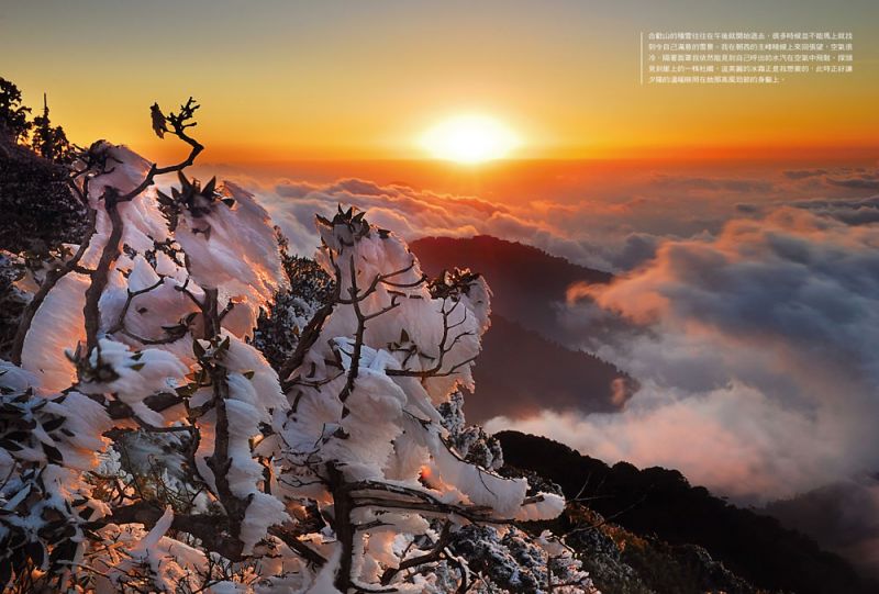 爱上一座山:用5千多个日子拍下合欢山百变的美丽容颜