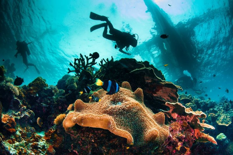 海底探险!潜水╳浮潜