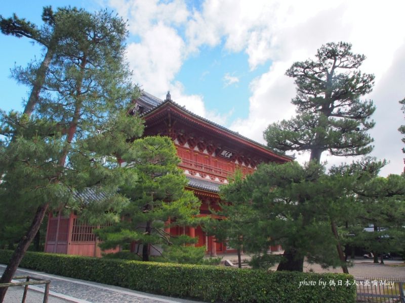 [京都] 高桐院.静谧绝美的庭院,寂静的原点 (京都新绿/大德寺)