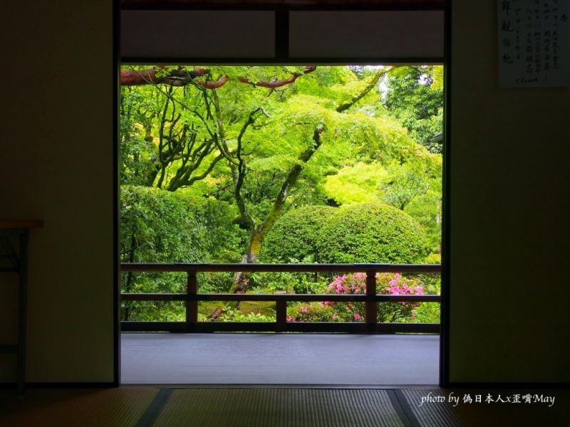 [京都] 高桐院.静谧绝美的庭院,寂静的原点 (京都新绿/大德寺)