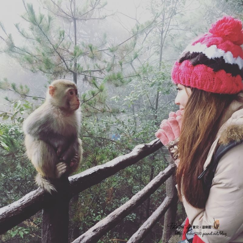 (圖片來源:寶兒 ღ遊樂園ღ http://goo.gl/9FH3GW)