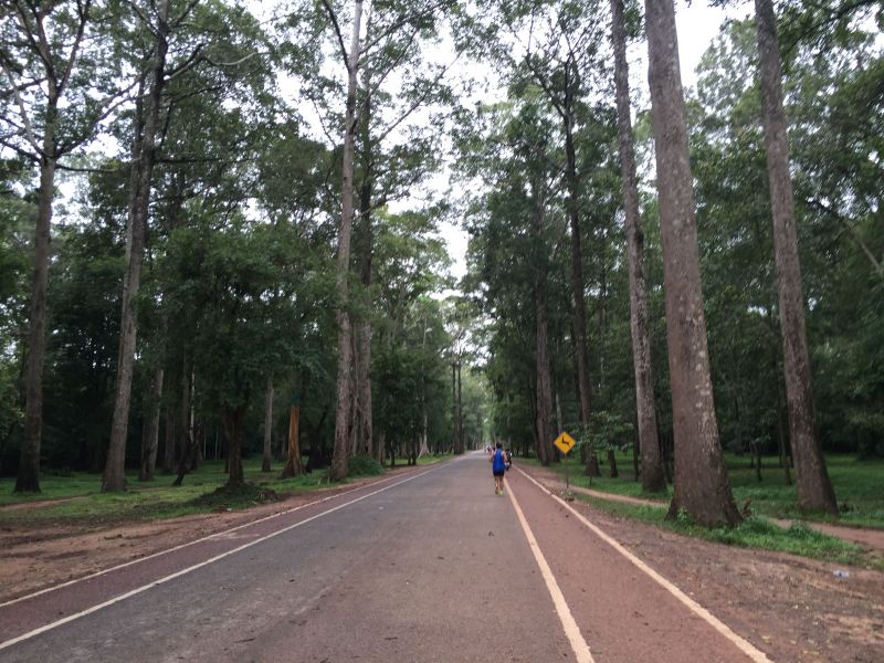 賽道路線十分平坦又涼爽,非常適合跑馬。(賴維屏提供)