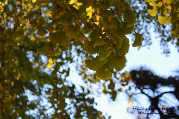 圖片來源:寶兒 ღ遊樂園ღ http://goo.gl/okAEsA