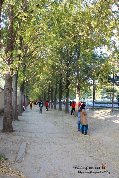 圖片來源:寶兒 ღ遊樂園ღ http://goo.gl/okAEsA