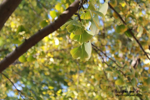 圖片來源:寶兒 ღ遊樂園ღ http://goo.gl/okAEsA