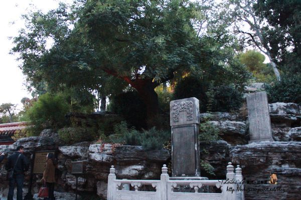 圖片來源:寶兒 ღ遊樂園ღ http://goo.gl/okAEsA