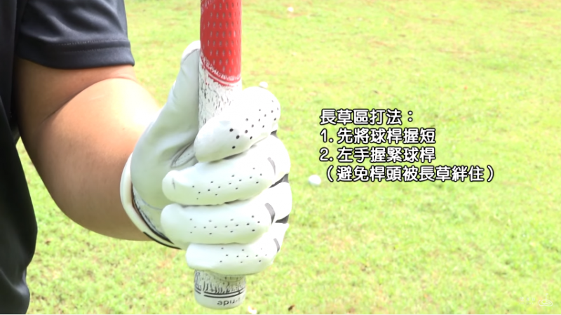 劉宏勳 攝