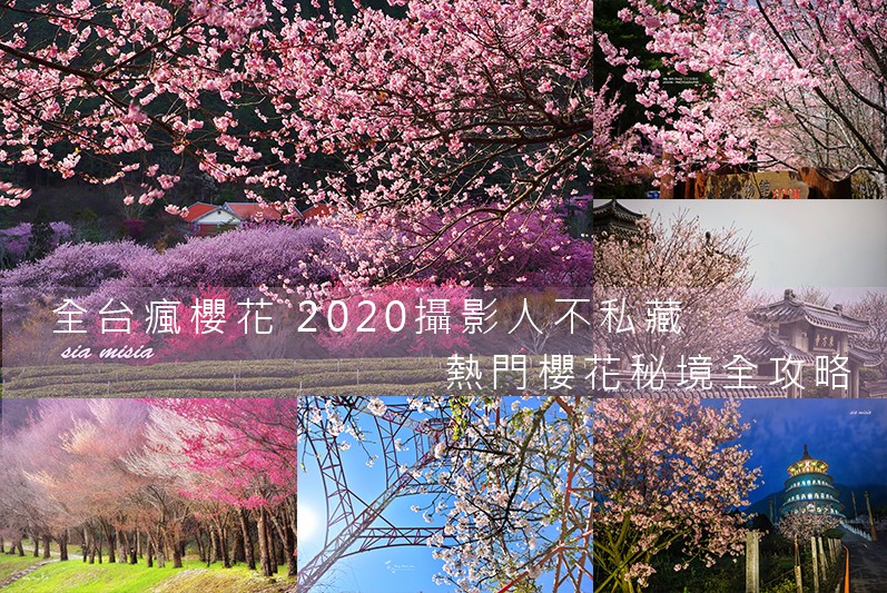 全台瘋櫻花 2020攝影人不私藏 熱門櫻花秘境全攻略(01/17更新)