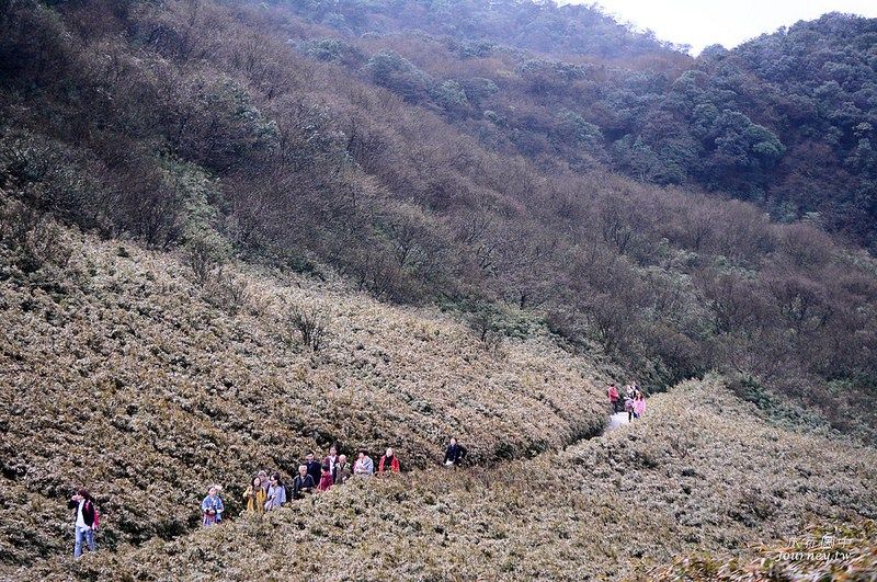 離開了索道站，穿越了重重竹林，沿著步道來去找尋今天要探尋的金佛山主要洞穴系統 第一個來到了是「金龜朝陽」 (圖片來源：許傑)
