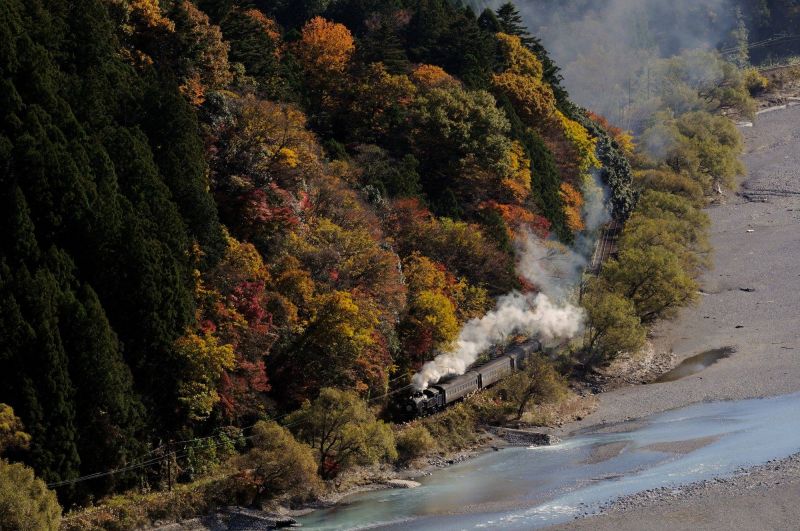 大井川鐵道沿途的風景，讓遊客體驗放空的列車時光（圖片來源：樂天旅遊）