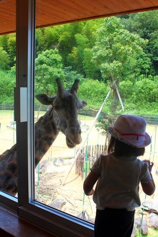 德島動物園－四國最大動物園