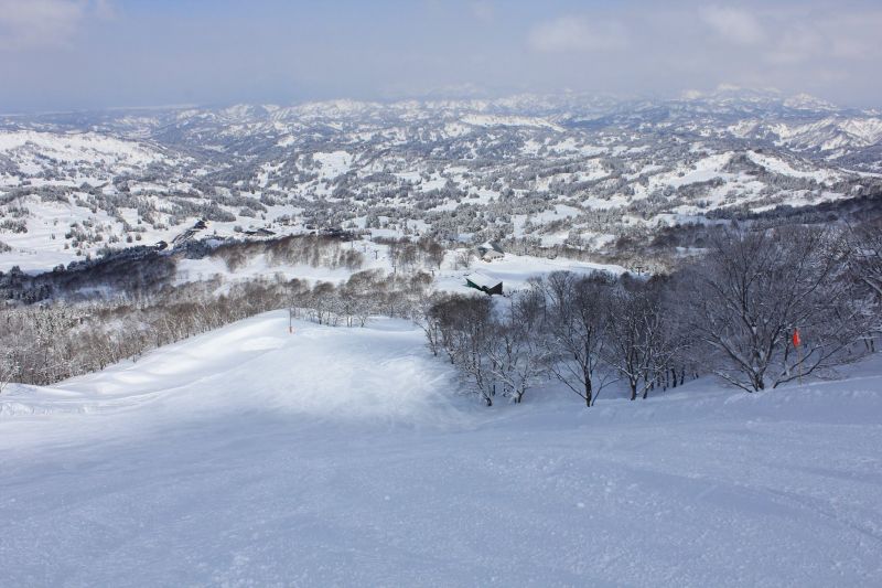 很難想像日本滑雪團可以三萬元有找，比一般觀光團還便宜，不去可惜啊！(雄獅旅遊提供)
