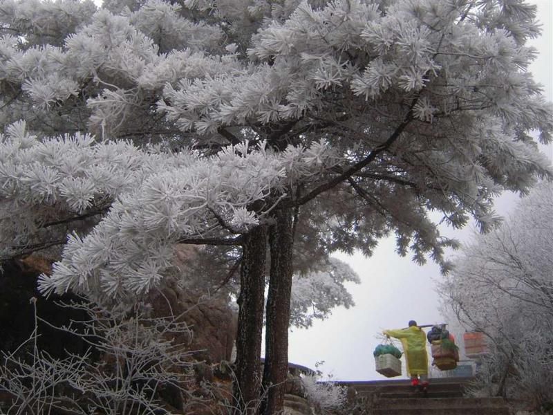 冬雪黃山美景。圖片來源:安徽繁體官網 http://bit.ly/1RrPEo8