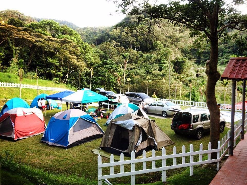營區多為草皮營地，車子可以直接開入，十分方便。（圖片來源／飛螢農莊FB粉絲團）