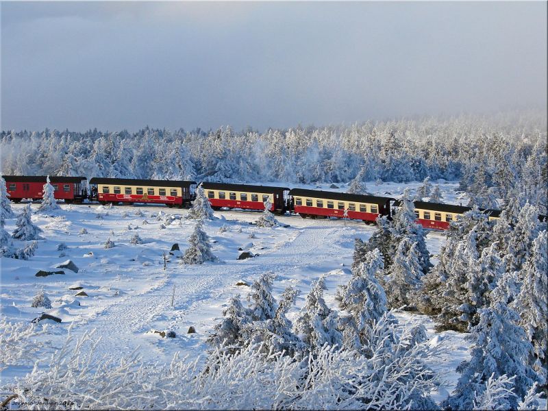 哈茨窄軌鐵道蒸氣列車。（Photo│flickr CC@Jorbasa Fotografie）