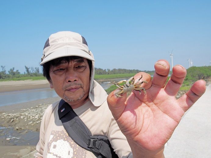 巧遇在地生態工作者記錄新屋螃蟹生態。（劉宸嘉攝影）