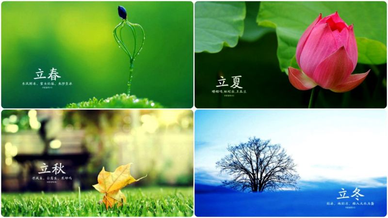 現代人以攝影、繪畫等方式表達二十四節氣。(圖片:網易博客 白石秋水)