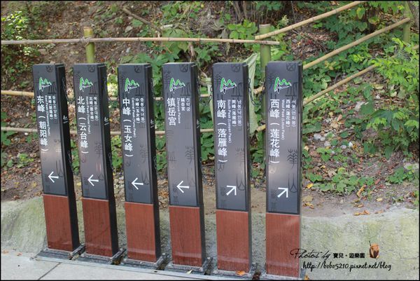 (圖攝:寶兒 提供)
