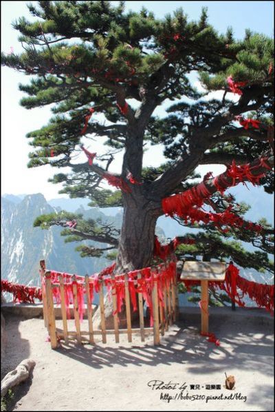 (圖攝:寶兒 提供)