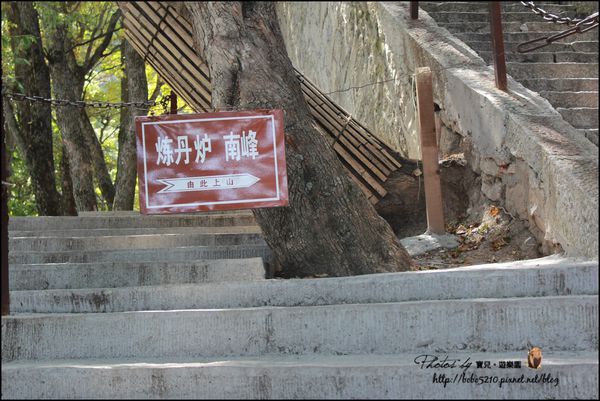 (圖攝:寶兒 提供)
