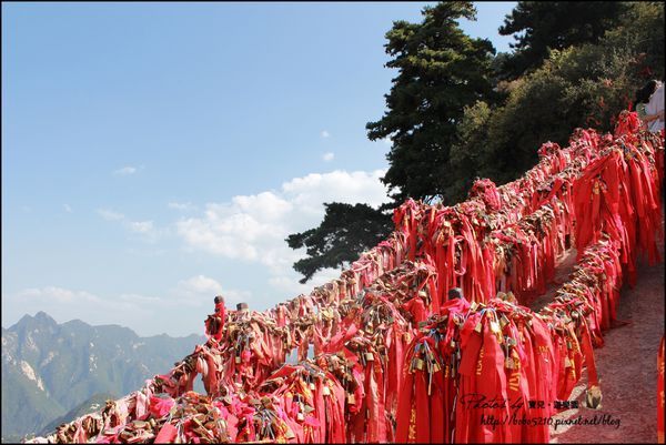 (圖攝:寶兒 提供)