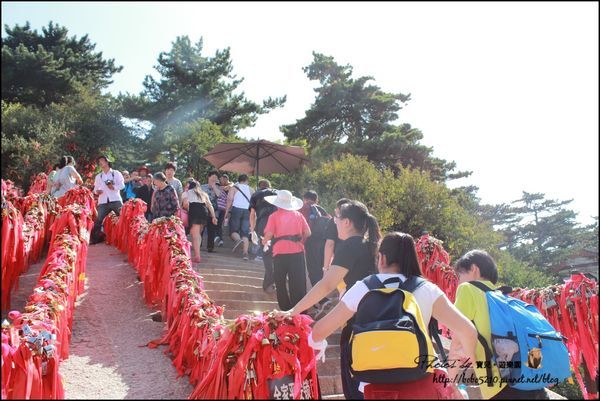 (圖攝:寶兒 提供)