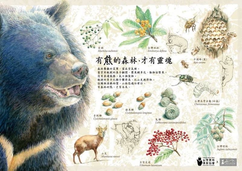 (照片/台灣黑熊保育協會提供)