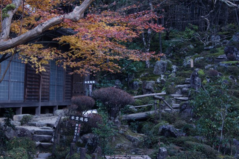 西明寺本堂通道。圖攝/酸鼻子