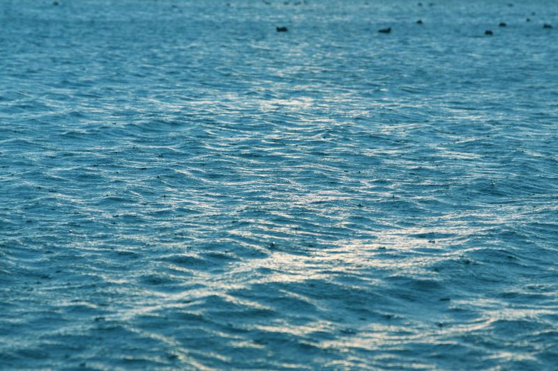 灑落的朝陽隨之反射在湖面；波光粼粼，閃閃發亮。圖攝／酸鼻子