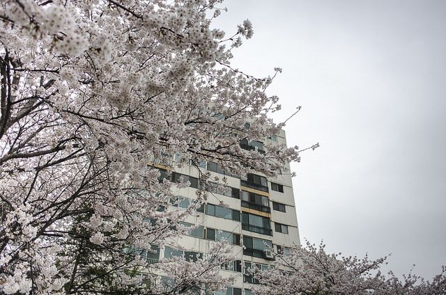 圖片來源:Flickr cc@Mr.kototo