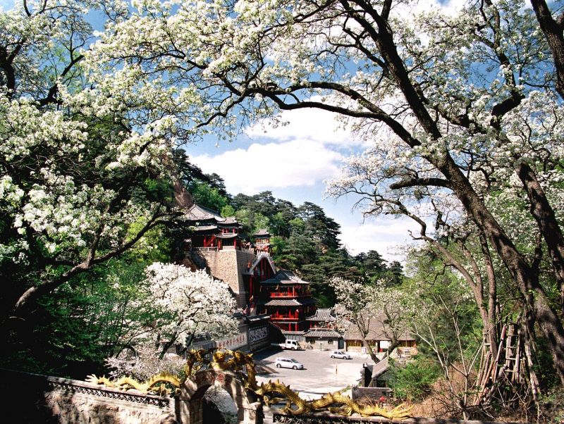 鞍山美麗的自然景觀-千山。