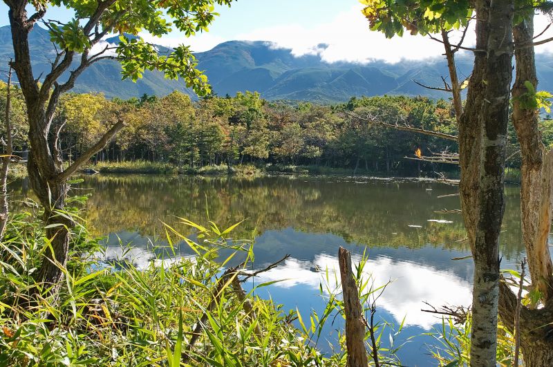 北海道 自駕遊 擁抱大自然的療癒之旅 欣傳媒