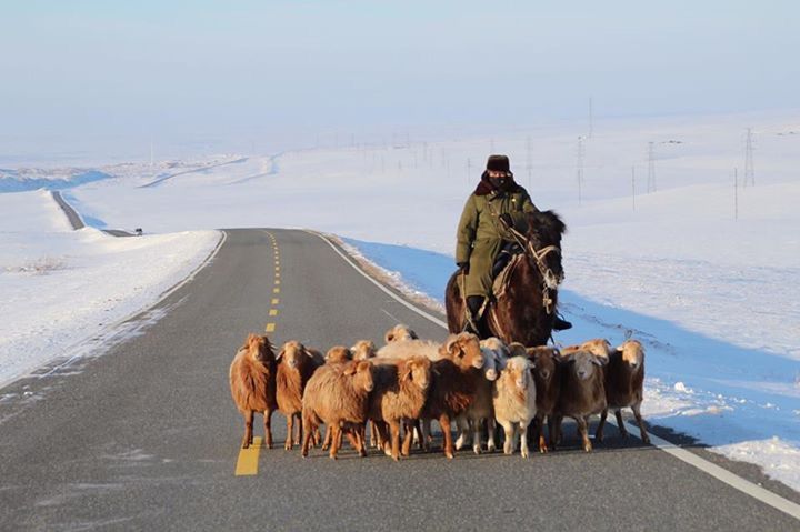 新疆-10℃以下路上除了羊兒們，連當地人從頭(還有臉)到腳都得包好。