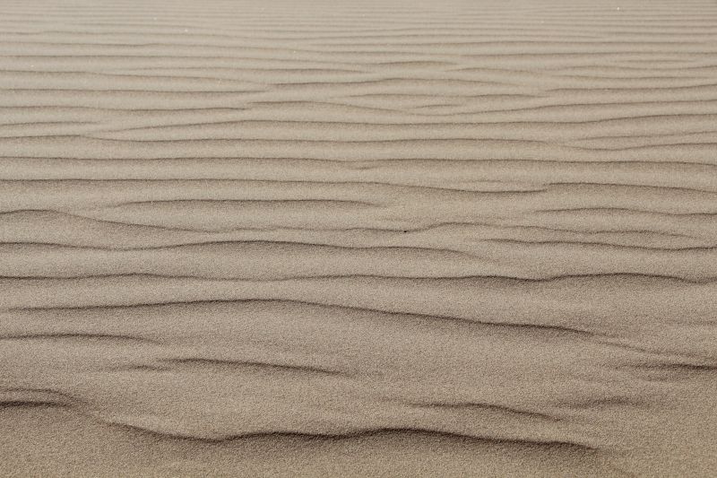 沙上烙著風的痕跡