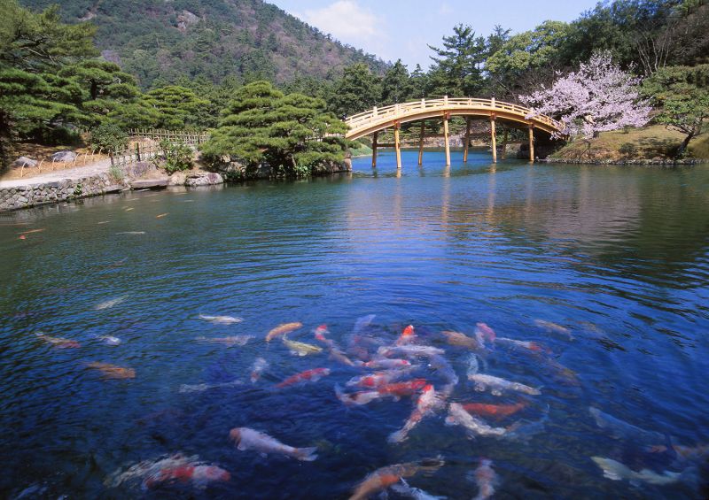 米其林三星景點——栗林公園,為被指定國家特別名勝園林中規模最大者。(圖片來源:香川縣觀光協會)