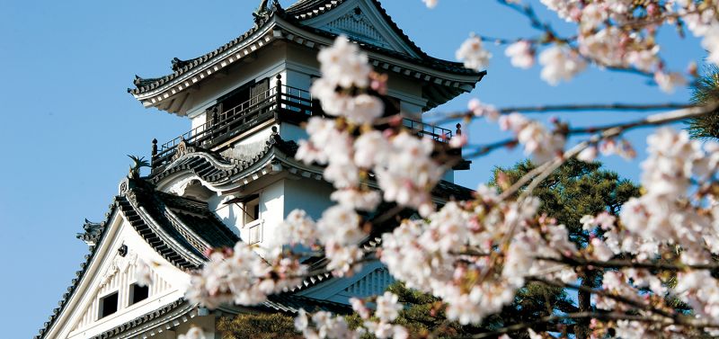 高知城是日本唯一保留整個本丸建築的古城。(圖片來源:高知縣)