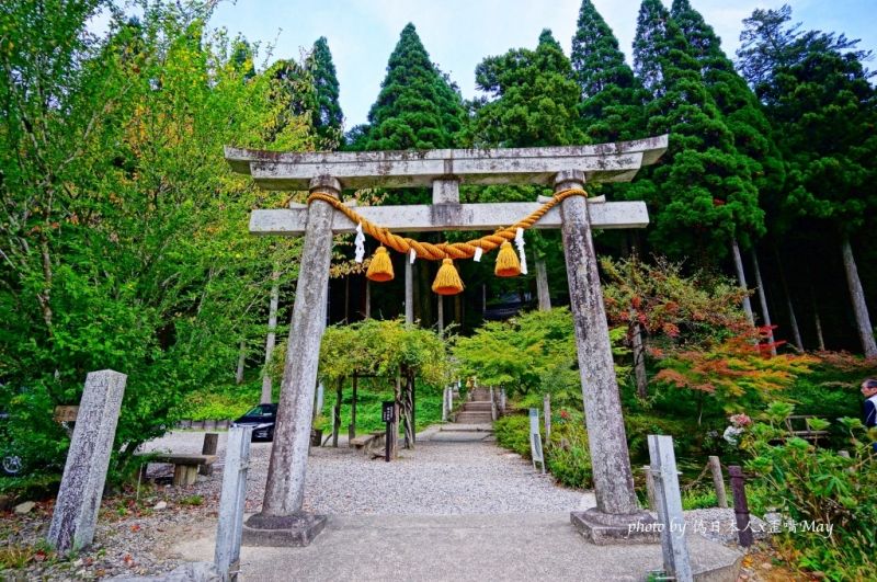 圖片來源:偽日本人May提供