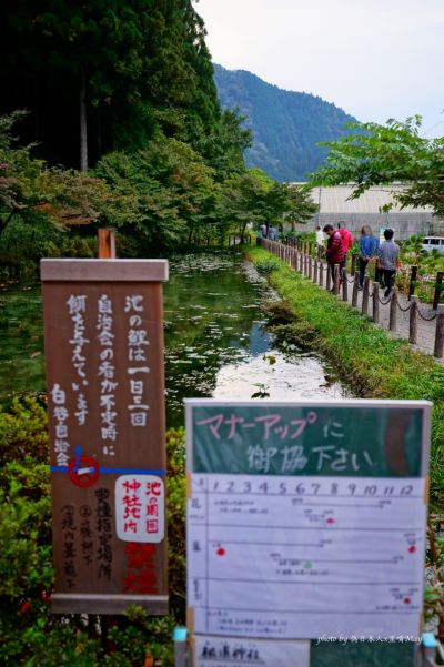 圖片來源:偽日本人May提供
