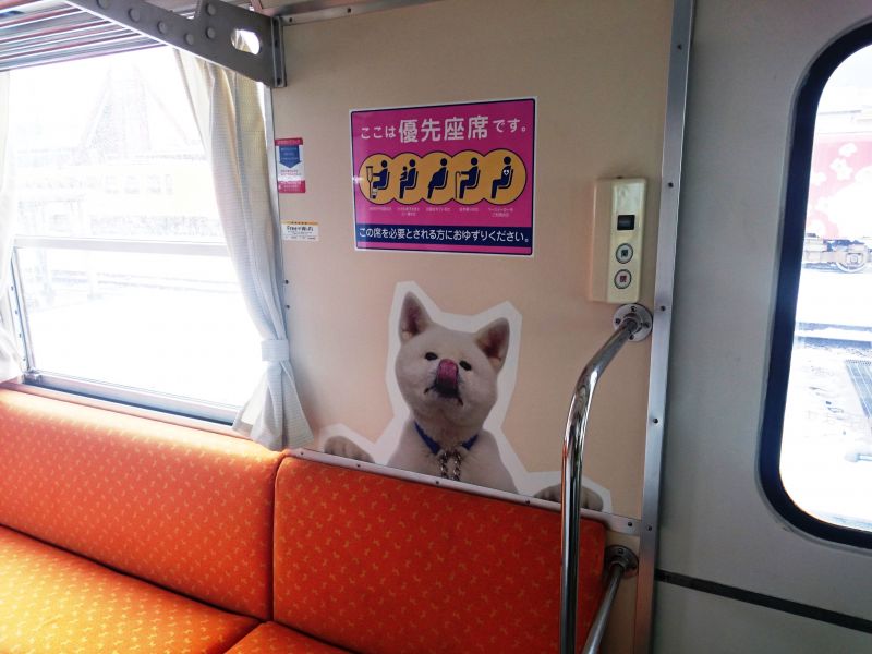 全車有約50張的秋田犬照散落在各處，並提供WiFi供來訪的旅人打卡紀念。（Photo｜秋田內陸縱貫鐵道）