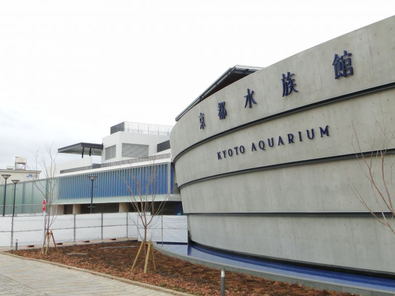 好想住下來 京都水族館讓人只想在這裡待上一整天 欣傳媒