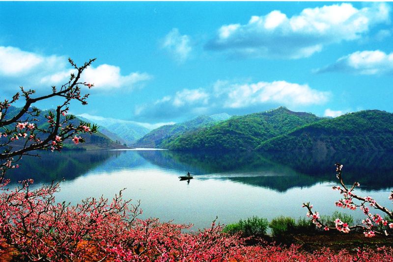 鴨綠江邊的河口桃花,宛如一幅中國水墨畫。